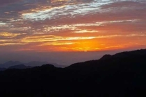 殺蟲公司的專業(yè)團(tuán)隊(duì)支持