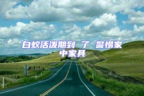 白蟻活潑期到 了 警惕家中家具