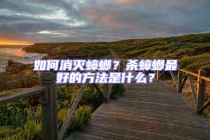 如何消滅蟑螂？殺蟑螂最好的方法是什么？