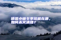 德國(guó)小蠊冬季多藏在哪，如何殺滅清理？