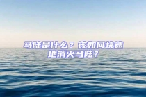 馬陸是什么？該如何快速地消滅馬陸？