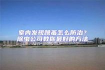 室內發現跳蚤怎么防治？除蟲公司教你最好的方法