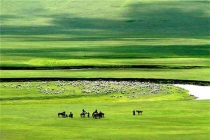 孩子防蚊，被燒成重傷!只因為媽媽無知!