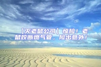 【滅老鼠公司】驚險(xiǎn)！老鼠咬斷燃?xì)夤埽U(xiǎn)出意外！