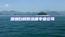 深圳白蟻防治最專業公司