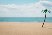 深圳白蟻防治：預防為主、防治結合、綜合治理