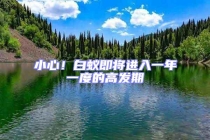 小心！白蟻即將進(jìn)入一年一度的高發(fā)期