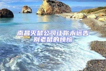 南昌滅鼠公司讓你永遠告別老鼠的煩惱