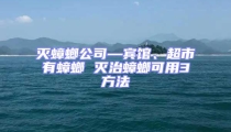 滅蟑螂公司—賓館、超市有蟑螂 滅治蟑螂可用3方法