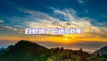 白蟻啃了它近50年