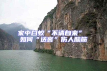 家中白蟻“不請(qǐng)自來(lái)” 如何“送客”傷人腦筋