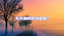 冬天如何防治老鼠？