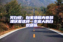 滅白蟻：自家墻板內(nèi)竟然埋伏著這樣一支龐大的白蟻部隊(duì)