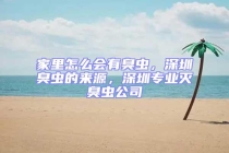 家里怎么會(huì)有臭蟲，深圳臭蟲的來源，深圳專業(yè)滅臭蟲公司