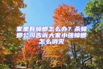 家里有蟑螂怎么辦？殺蟑螂公司告訴大家小強蟑螂怎么消滅
