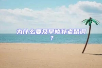 為什么要及早修補(bǔ)老鼠洞？