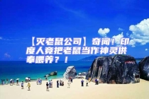 【滅老鼠公司】奇聞！印度人竟把老鼠當(dāng)作神靈供奉喂養(yǎng)？！