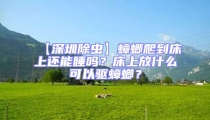 【深圳除蟲】蟑螂爬到床上還能睡嗎？床上放什么可以驅蟑螂？