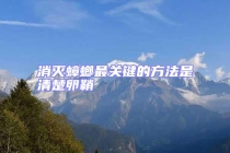 消滅蟑螂最關鍵的方法是清楚卵鞘