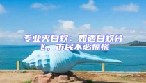 專(zhuān)業(yè)滅白蟻：如遇白蟻分飛，市民不必驚慌