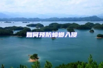 如何預(yù)防蟑螂入侵