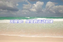 滅臭蟲：臭蟲的活動(dòng)規(guī)律