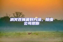 消滅蒼蠅最好方法，除蟲公司幫你