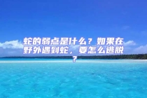 蛇的弱點是什么？如果在野外遇到蛇，要怎么逃脫？