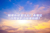 煙草粉螟是什么？殺蟲公司如何防治煙草粉螟？