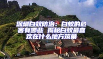 深圳白蟻防治：白蟻的危害有哪些 揭秘白蟻?zhàn)钕矚g在什么地方筑巢