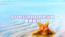 滅白蟻公司對(duì)白蟻防治的重要解答