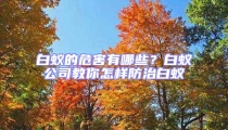 白蟻的危害有哪些？白蟻公司教你怎樣防治白蟻