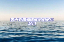 家中驅除蟑螂蚊子螞蟻小竅門