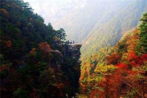 各種蚊蟲(chóng)如蜱蟲(chóng)、恙螨、跳蚤、臭蟲(chóng)等咬后的癥狀（三）