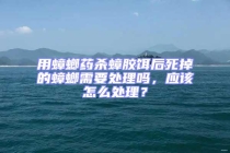 用蟑螂藥殺蟑膠餌后死掉的蟑螂需要處理嗎，應(yīng)該怎么處理？