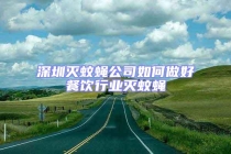 深圳滅蚊蠅公司如何做好餐飲行業(yè)滅蚊蠅