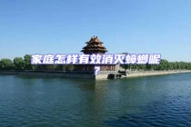 家庭怎樣有效消滅蟑螂呢？