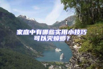 家庭中有哪些實(shí)用小技巧可以滅蟑螂？