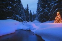 深圳殺蟲(chóng)公司告訴您 老鼠、白蟻、臭蟲(chóng)、蟑螂等害蟲(chóng)是怎么到您家的