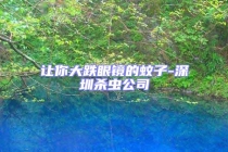 讓你大跌眼鏡的蚊子-深圳殺蟲(chóng)公司