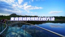 家庭裝修的預防白蟻方法