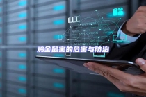 雞舍鼠害的危害與防治