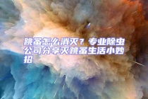 跳蚤怎么消滅？專業(yè)除蟲(chóng)公司分享滅跳蚤生活小妙招