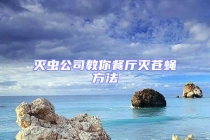 滅蟲公司教你餐廳滅蒼蠅方法