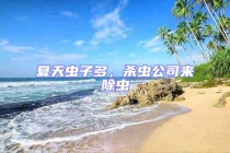 夏天蟲子多，殺蟲公司來除蟲