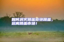 如何消滅跳蚤拒絕跳蚤，遠離跳蚤市場！