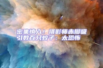 密集慎入！攝影師赤腳吸引數百只蚊子：太恐怖