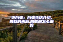 滅白蟻：白蟻生活介紹,白蟻的來(lái)源,白蟻是怎么來(lái)的