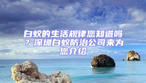 白蟻的生活規(guī)律您知道嗎？深圳白蟻防治公司來為您介紹