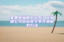 家里有蟑螂怎么辦？滅蟑螂公司告訴你冬季滅蟑螂好方法